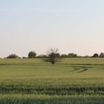 Contrarian Investing Explained