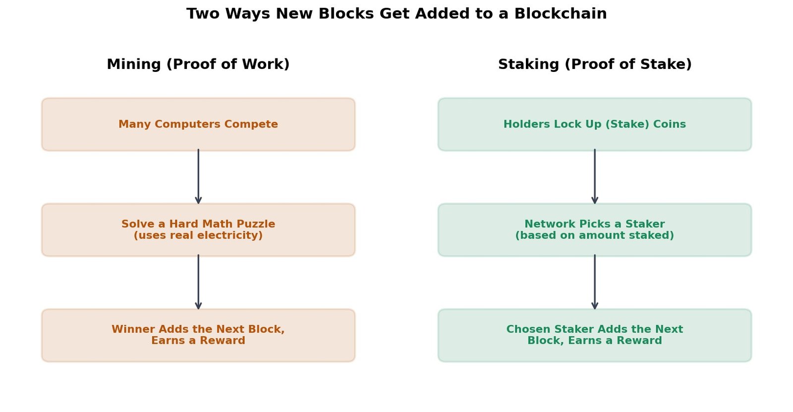 Diagram comparing mining (Proof of Work), where computers compete to solve a puzzle, and staking (Proof of Stake), where the network picks a staker based on coins locked up